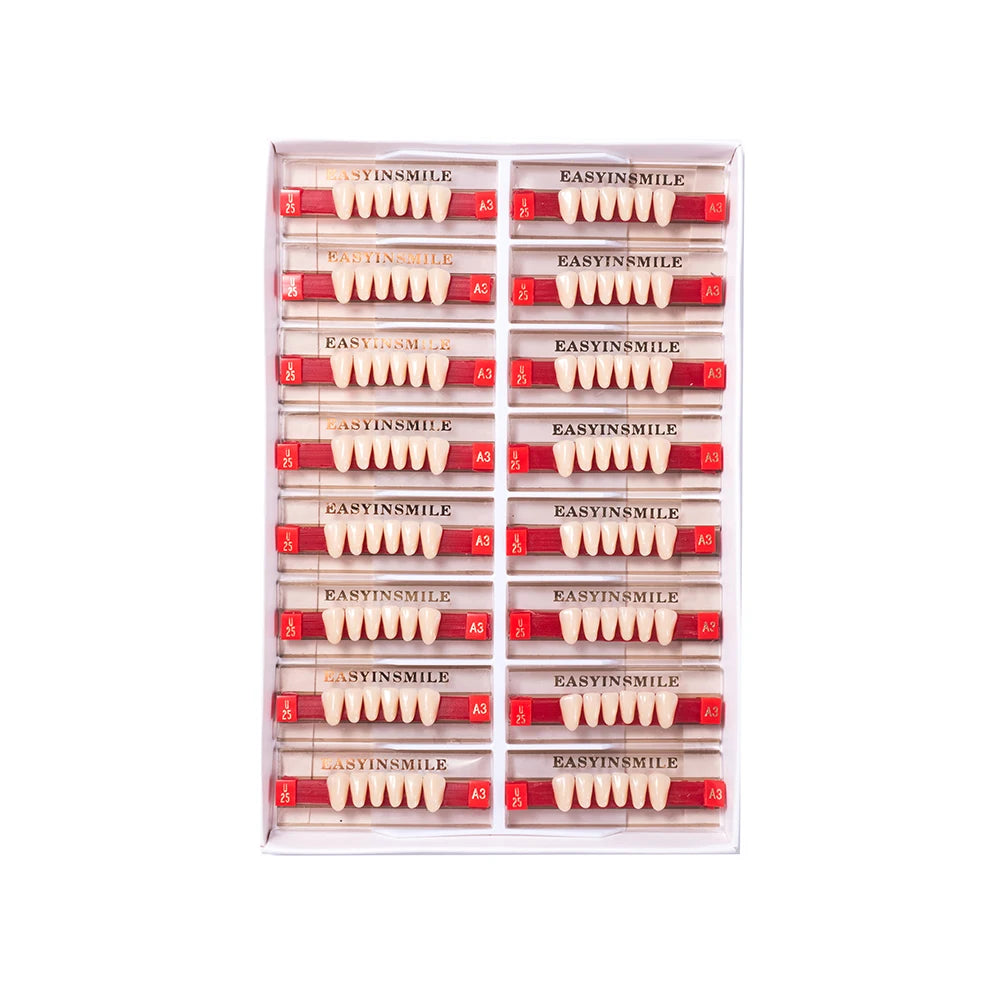 16/12 Sets/ Box Dental Teeth Anterior Posterior Polymer Denture acrylic Tooth A2 A3 2 Layers Dentistry Materials Education Model