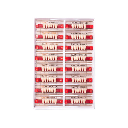 16/12 Sets/ Box Dental Teeth Anterior Posterior Polymer Denture acrylic Tooth A2 A3 2 Layers Dentistry Materials Education Model