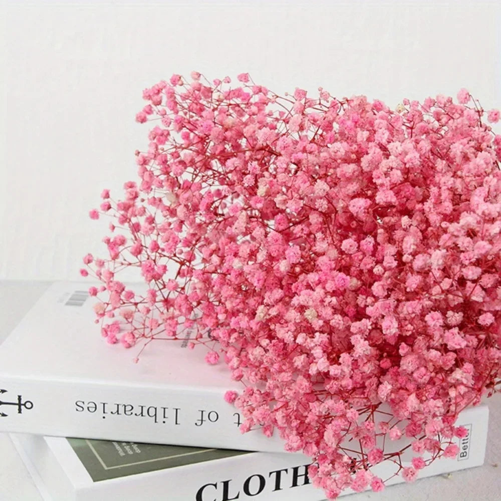 130g Natural Dried Preserved Flowers Babys Breath Home Decoration Natrual Gypsophila Wedding Decor Artificial Flower Photo Props