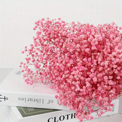 130g Natural Dried Preserved Flowers Babys Breath Home Decoration Natrual Gypsophila Wedding Decor Artificial Flower Photo Props