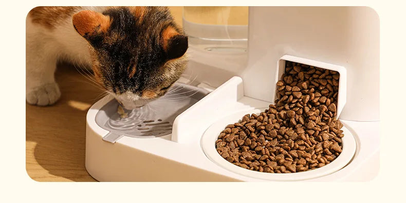 Pet automatic drinking water feeder Integrated large capacity dry and wet separation Ceramic bowl Stainless steel bowl