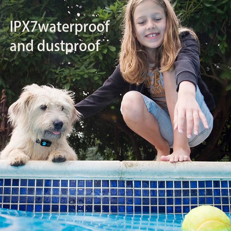 New Pets GPS Tracker S13 Smart 4G Waterproof Protective Locator Real-time Tracking Wearable Dog Cat Bird Collar Find Device 2024