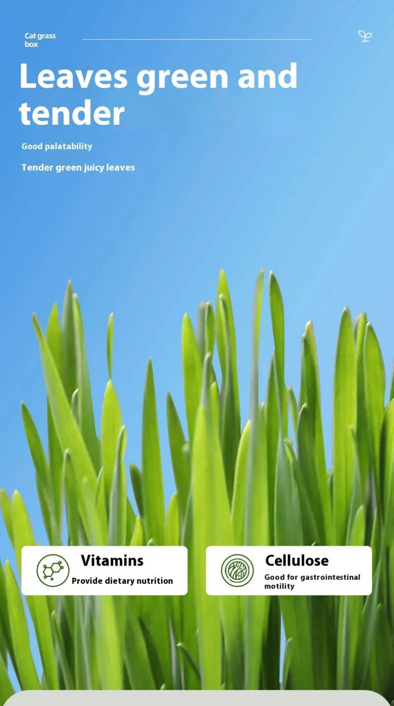 Hydroponic Natural Cat Grass Growing Kit-Organic Wheat Grass Seeds For Digestive Health & Hairball Control,With Potting Soil Set