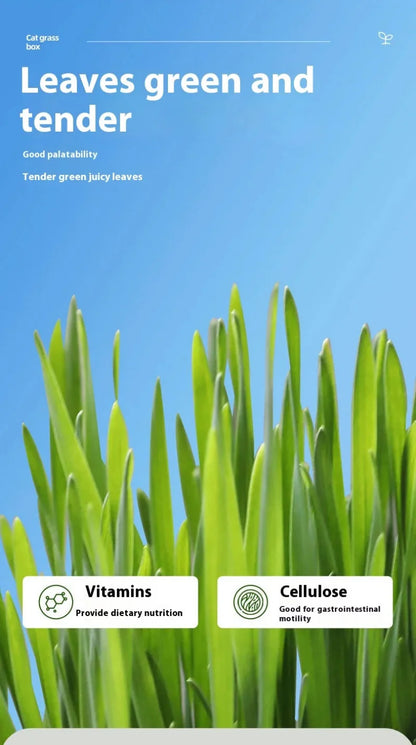 Hydroponic Natural Cat Grass Growing Kit-Organic Wheat Grass Seeds For Digestive Health & Hairball Control,With Potting Soil Set