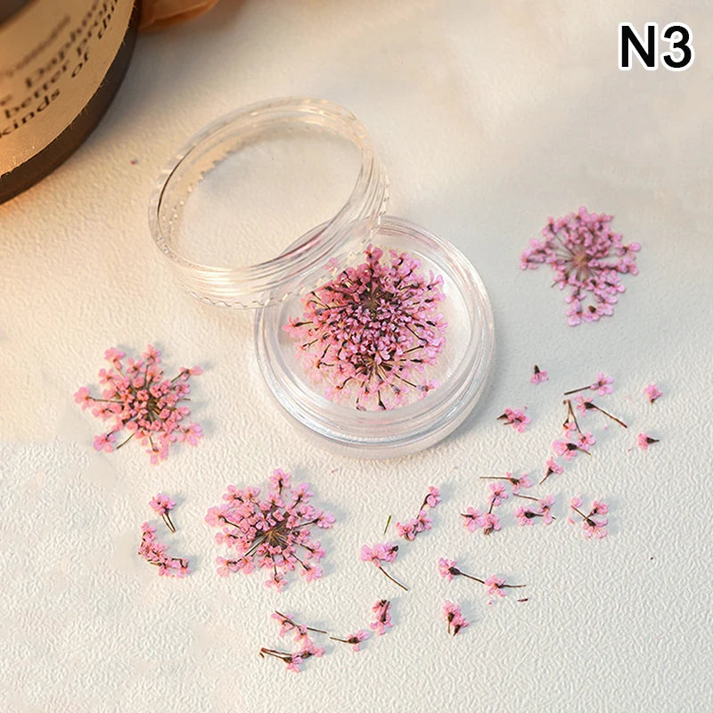 1 Box Nail Art Flower Decoration Delicate Dried Flower Nail Art Decorations Exquisite Nail Art Beauty For Charms Accessories