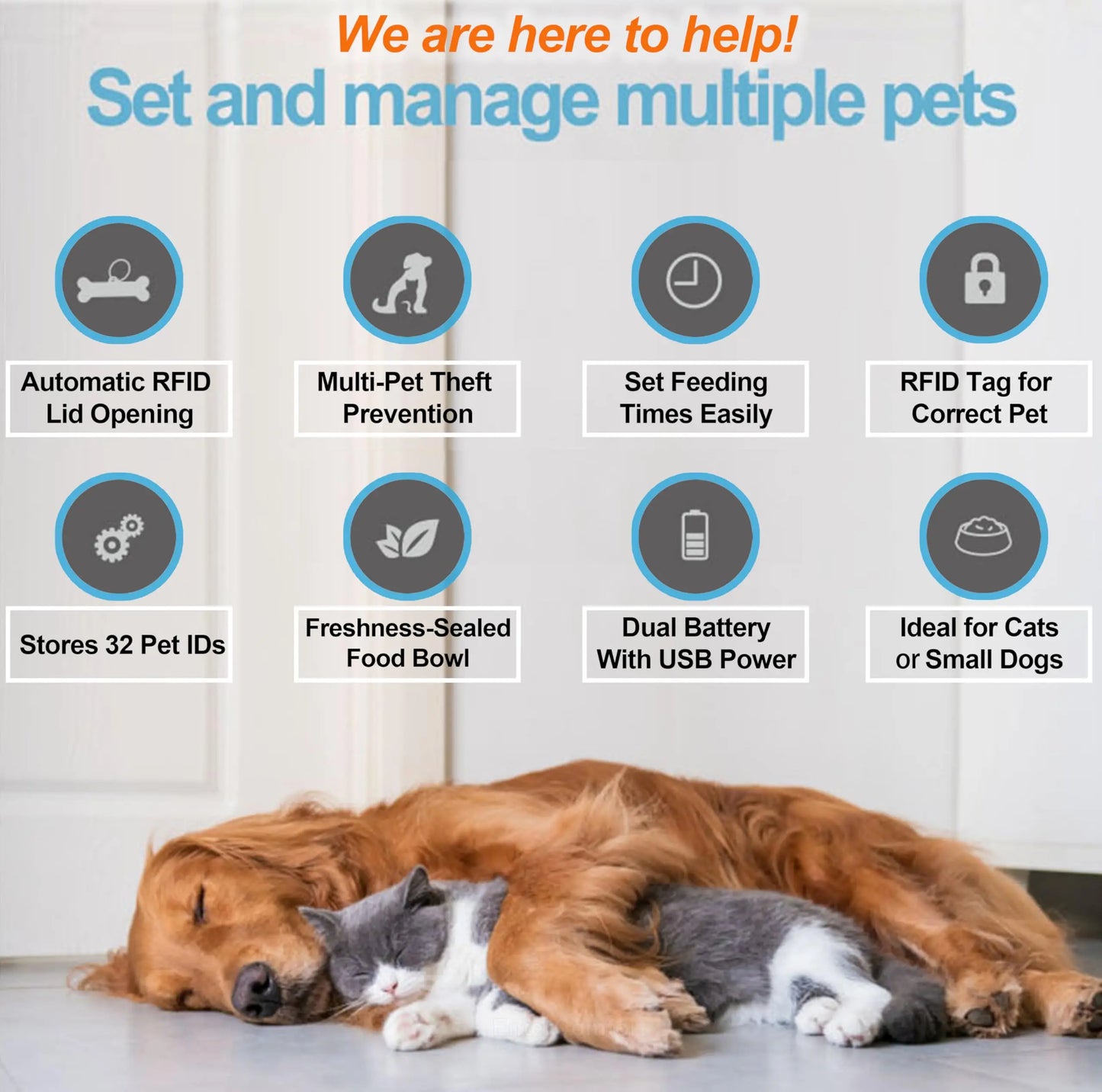 NEW Smart Microchip RFID Pet Feeder Bowl For Cats Dog And Multi Pets Homes Intelligent Automatic Timed Cat Food Dispenser