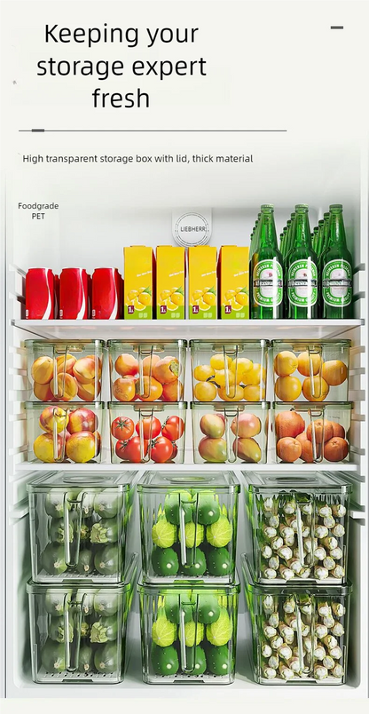 Stackable Refrigerator Storage Box with Lid, Capable of Storing Bread, Food, Vegetables, and Fruits，organizer box with handle