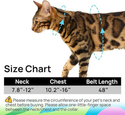 Adjustable Pet Cat Dog Car Seat Belt Pet Seat Vehicle Dog Harness Lead Clip Safety Lever Traction Dog Collars Dog Accessoires