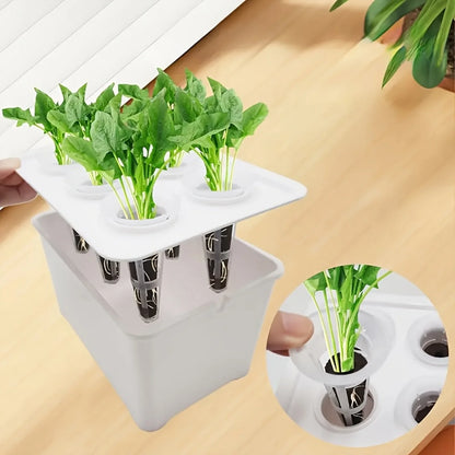 ﻿Hydroponic Grower Box with 6pcs Planting Cup Hydroponic Planting Box for Plants Herb Planting Container Garden Supplies