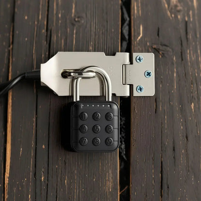Cabinet Keyless Fingerprint Lock Waterproof Intelligent Safety Smart Padlock Zinc Alloy Anti-theft Electronic Door Lock Outdoor