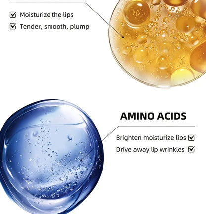 BEAUTY GLAZED Nourishing Lip Balm with Plant Squalane and Amino Acids, Natural Oil-Based, Long-Lasting Moisture Plant Squalane