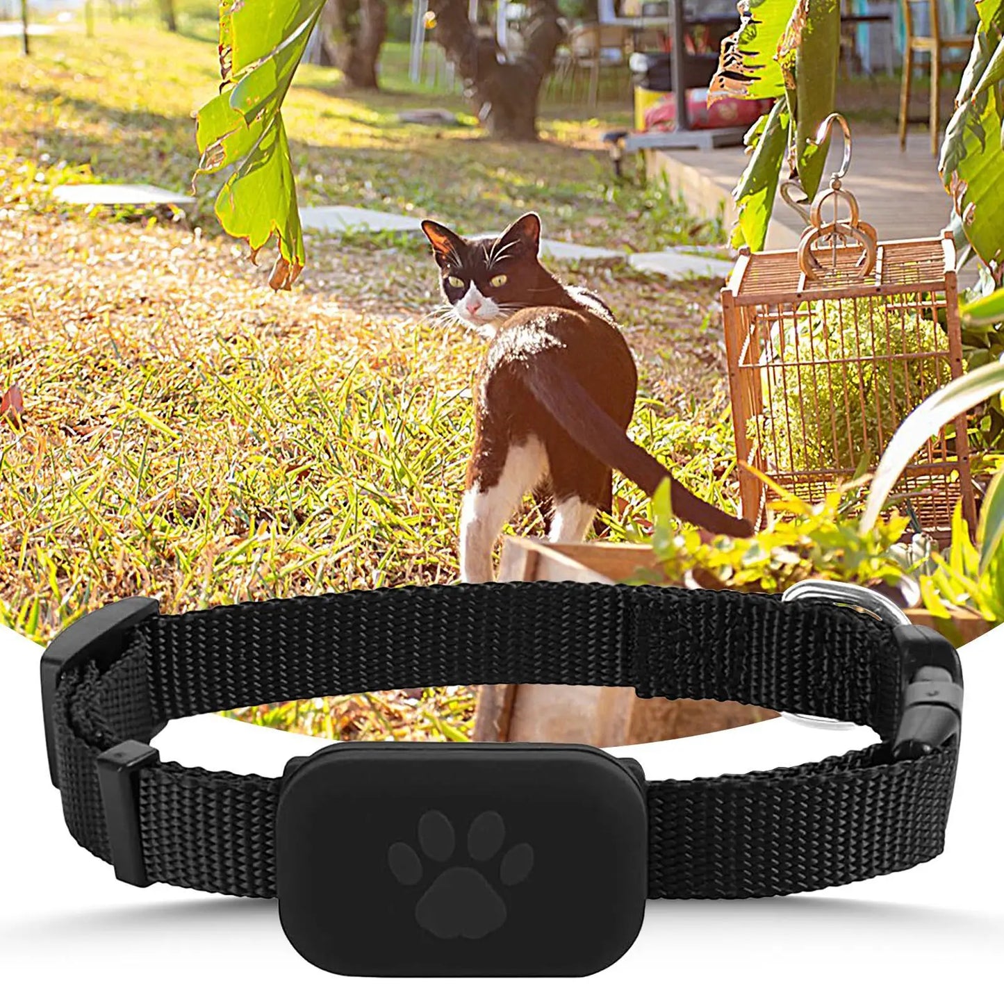Cat Trackers GPS Cat Trackers Collar Pet Kitten GPS Collar Multifunctional Pet Smart GPS Trackers Pets Accessories For Dog Cat