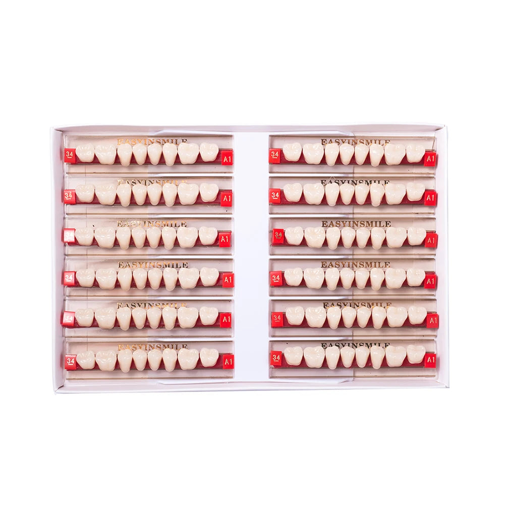 16/12 Sets/ Box Dental Teeth Anterior Posterior Polymer Denture acrylic Tooth A2 A3 2 Layers Dentistry Materials Education Model