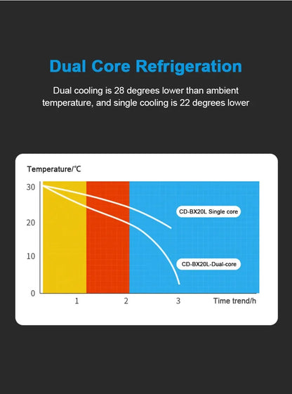 6L Mini Car Refrigerator 12V DC 220V AC Electric Portable Beauty Cooler Warmer Car Mini Fridge Ice Box for Home Camping Travel