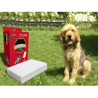 10 Pcs/Bag Dog Diaper Liners Diaper Pads for Male and Female Dogs Disposable Detachable Diaper Anti Leaking Clean Safe for Dogs