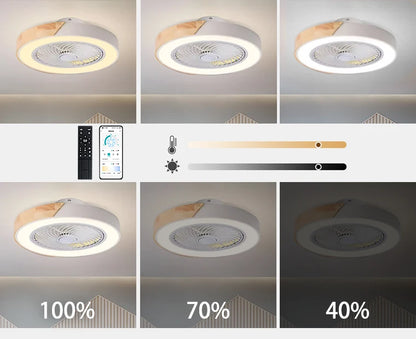 Smart Ceiling Fans With Light For Living Room Dining Room Blades Reversible 6 Speeds 52CM Fans Lighting 110V/220V