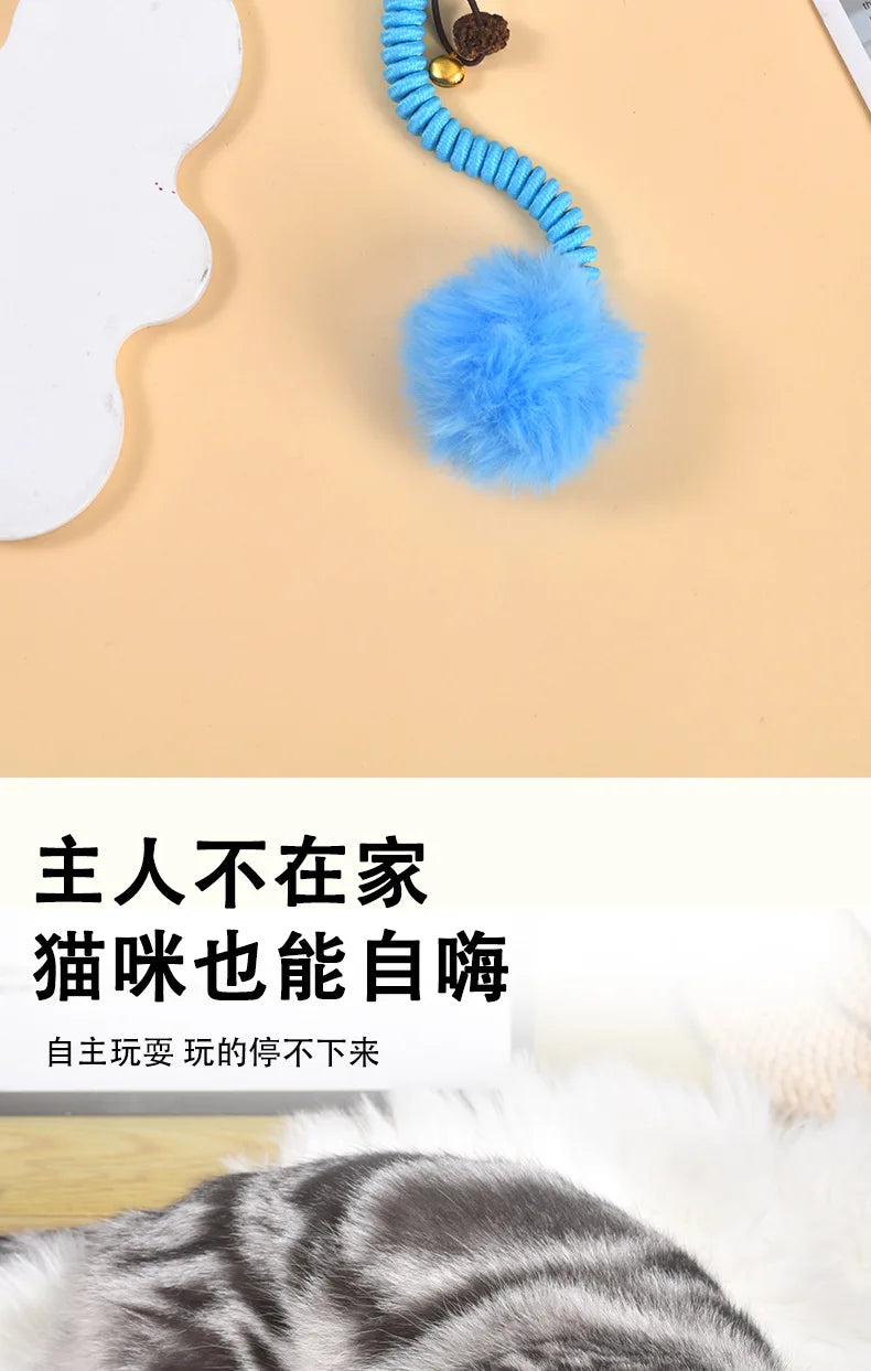 Interactive cat toy, fruit, spring, crocodile, Tiger, avocado, to relieve boredom toy