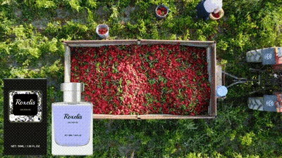 50ML Pheromone Perfume for Man To Attract Women Perfume Body Essential Sexually Stimulating Sexy Long Lasting Flirtation