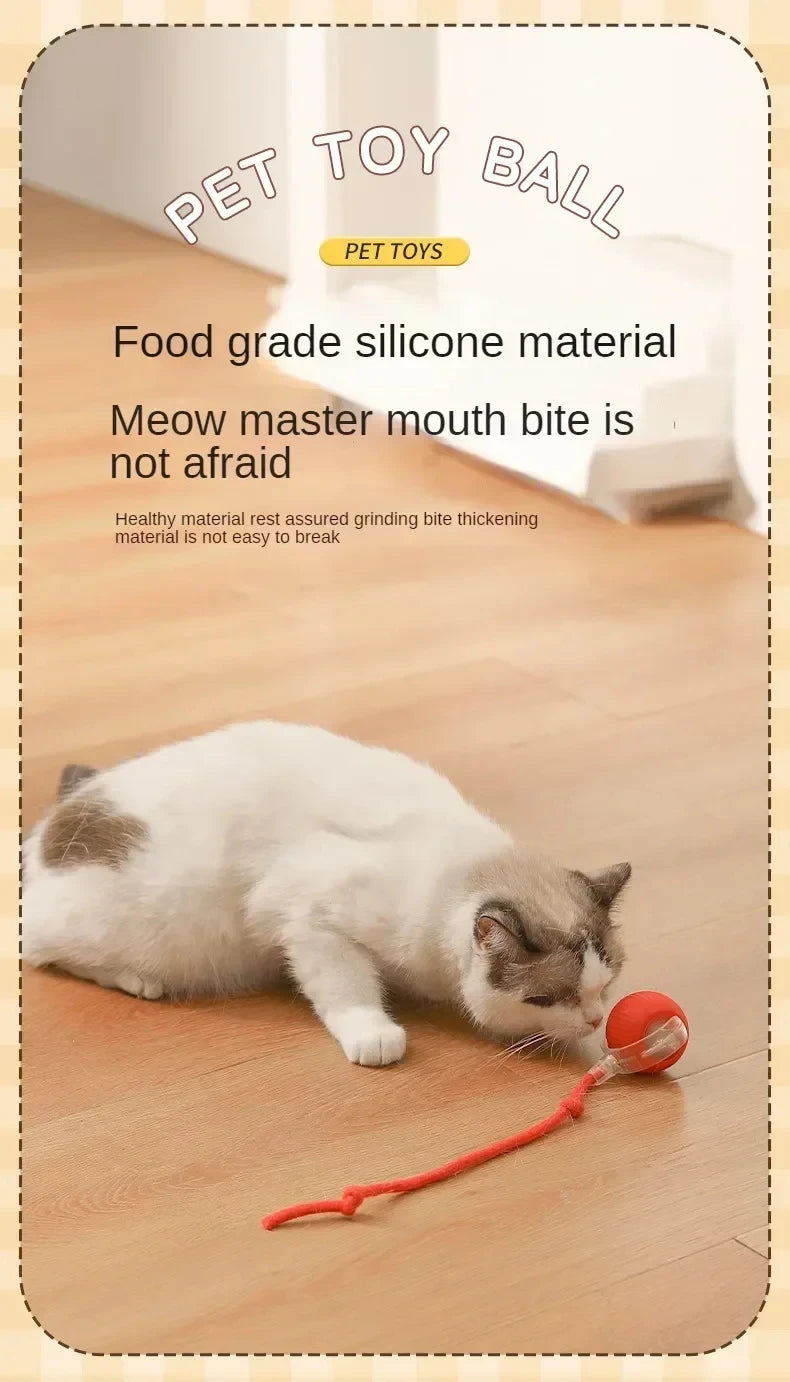 Interactive Dog Toys Rechargeable Pet Interactive Toys Electric Cats Ball Automatic Rolling Fake Tail Ball Dog Cats Toy