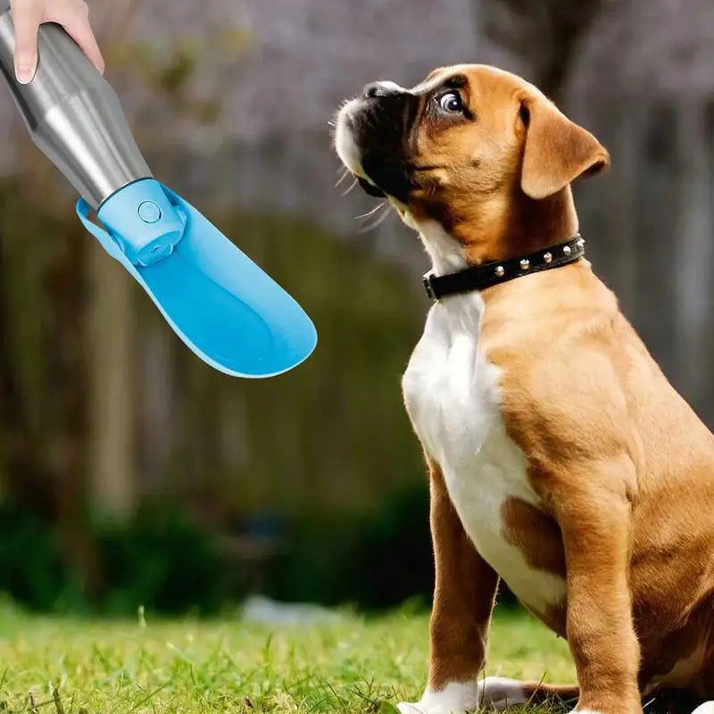 Travel Water Bowl For Dogs Portable Dog Water Bottle For Walking Leak Proof Foldable Water Dispenser Stainless Steel Water Bowl