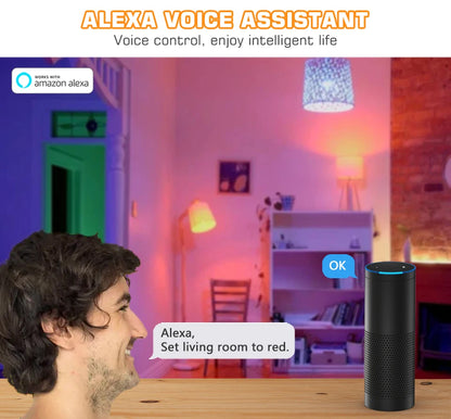 LED Smart Light Bulb, Color Changing Alexa Light, RGB Smart Lamp That Work With Alexa, E27 B22 Base,16 Million Colors,Dimmable