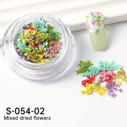 1 Box Nail Art Flower Decoration Delicate Dried Flower Nail Art Decorations Exquisite Nail Art Beauty For Charms Accessories