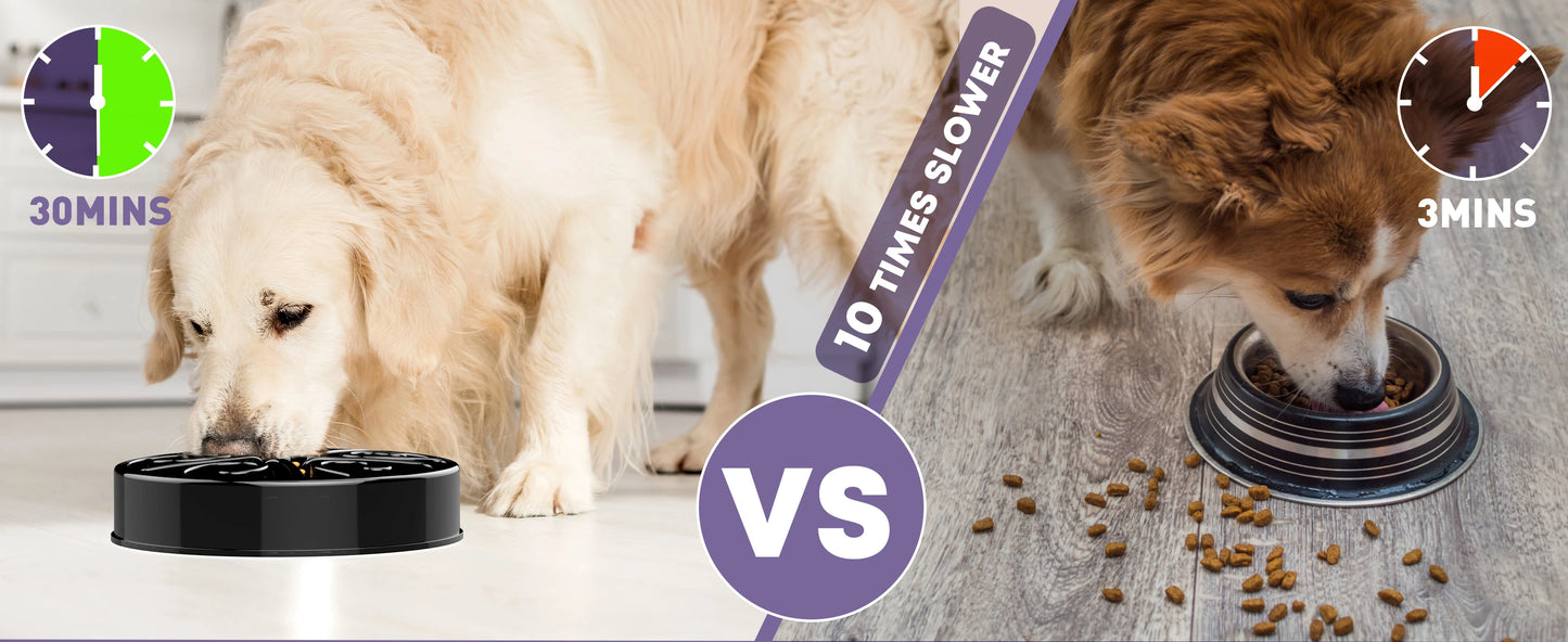 Pet Dog Slow Feeder Bowl Fun Non Slip Anti-Gulping Slower Food Feeding Dishes Eco Dog Bowl for Large Medium Small Dogs Puppy