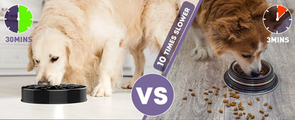 Pet Dog Slow Feeder Bowl Fun Non Slip Anti-Gulping Slower Food Feeding Dishes Eco Dog Bowl for Large Medium Small Dogs Puppy