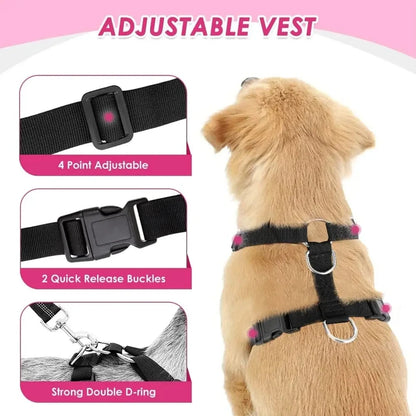 Dog Car Harness Seatbelt Set, Dog Vest Harness Adjustable with Breathable Mesh & Vehicle Safety Seat Belt Tether with Elastic