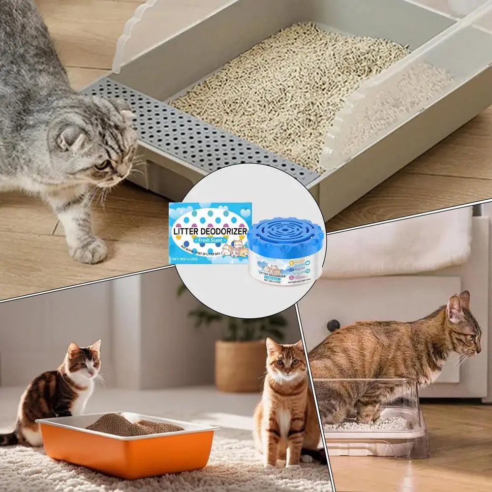 Litter Box Deodorizer Odor Eliminator Litterbox Deodorizer Cat Litter Scent Deodorizer Smell Eliminator Odor Absorber Gel