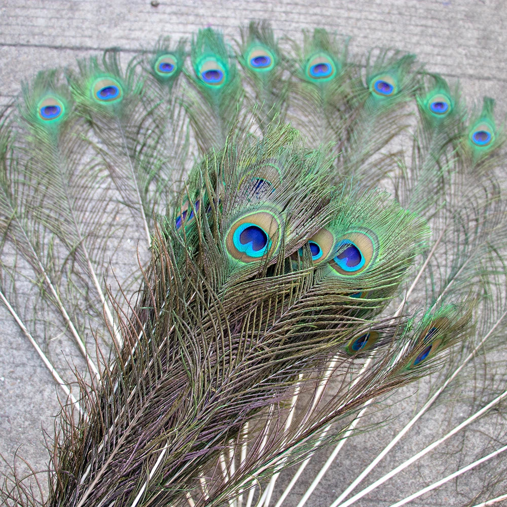 Natural Peacock Feathers 25-70cm for Crafts, Wedding Decorations, Home Décor, Fashion Accessories, and Party Decorations