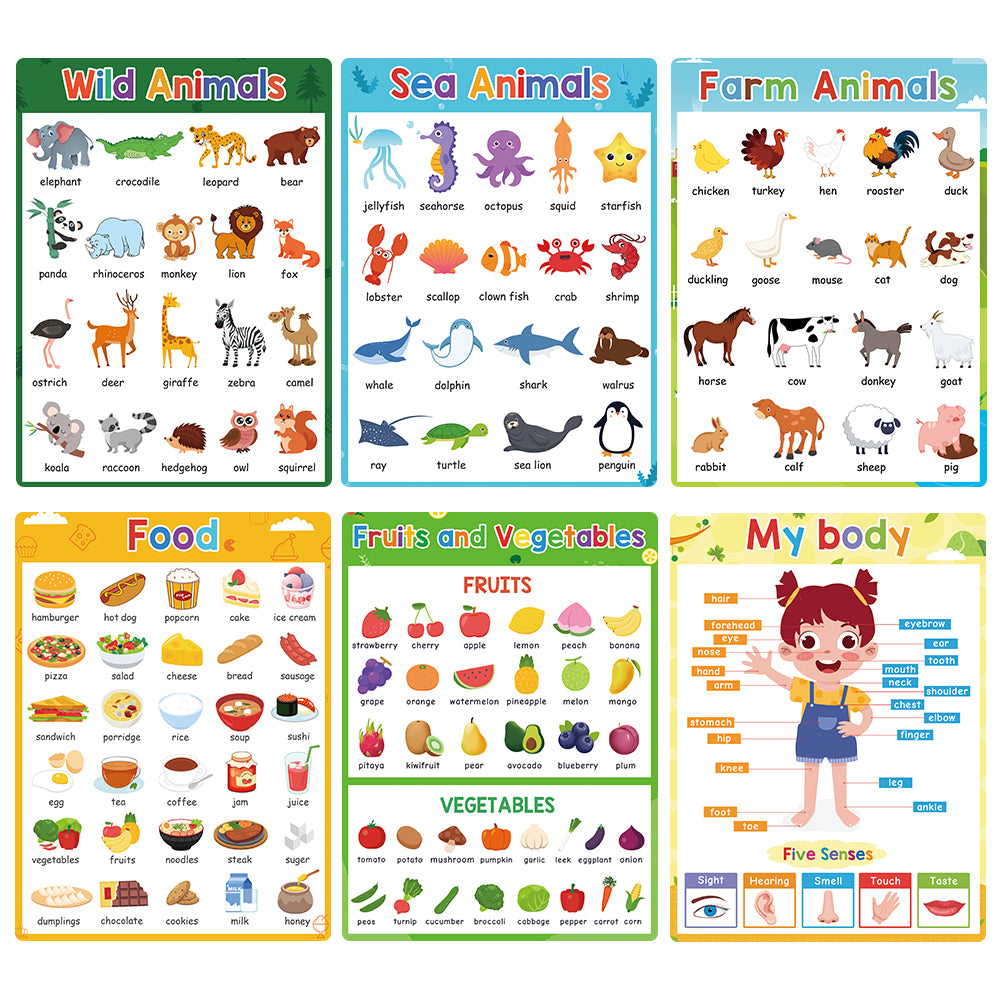 Educational Posters for Preschool Kids English Words Learning Charts Teaching Aids Classroom Decoration Big Card Montessori