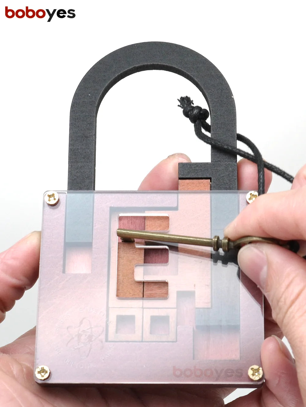 High Difficulty Level IQ Lock Puzzle Classic Wooden Brainteaser Puzzles Game for Adults The Einstein Collection Lock Puzzle