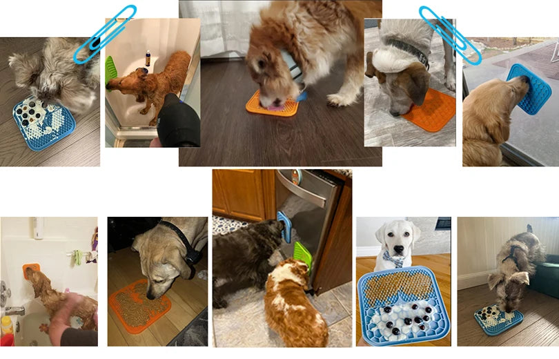 Silicone Pet Licking Pad for Dog & Cat | Anti-Choking Slow Feeder with Suction Cup | Yogurt Meal Mat & Slow Food Bowl Plate