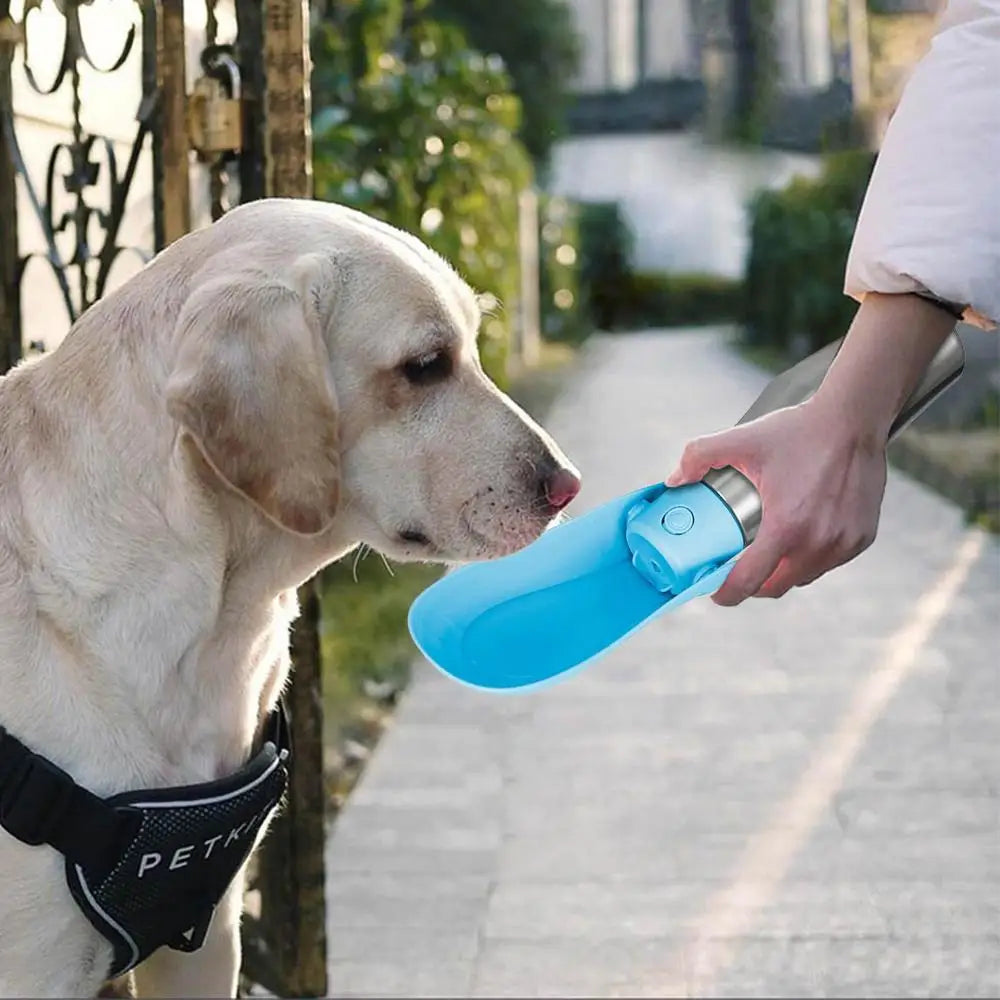 Travel Water Bowl For Dogs Portable Dog Water Bottle For Walking Leak Proof Foldable Water Dispenser Stainless Steel Water Bowl
