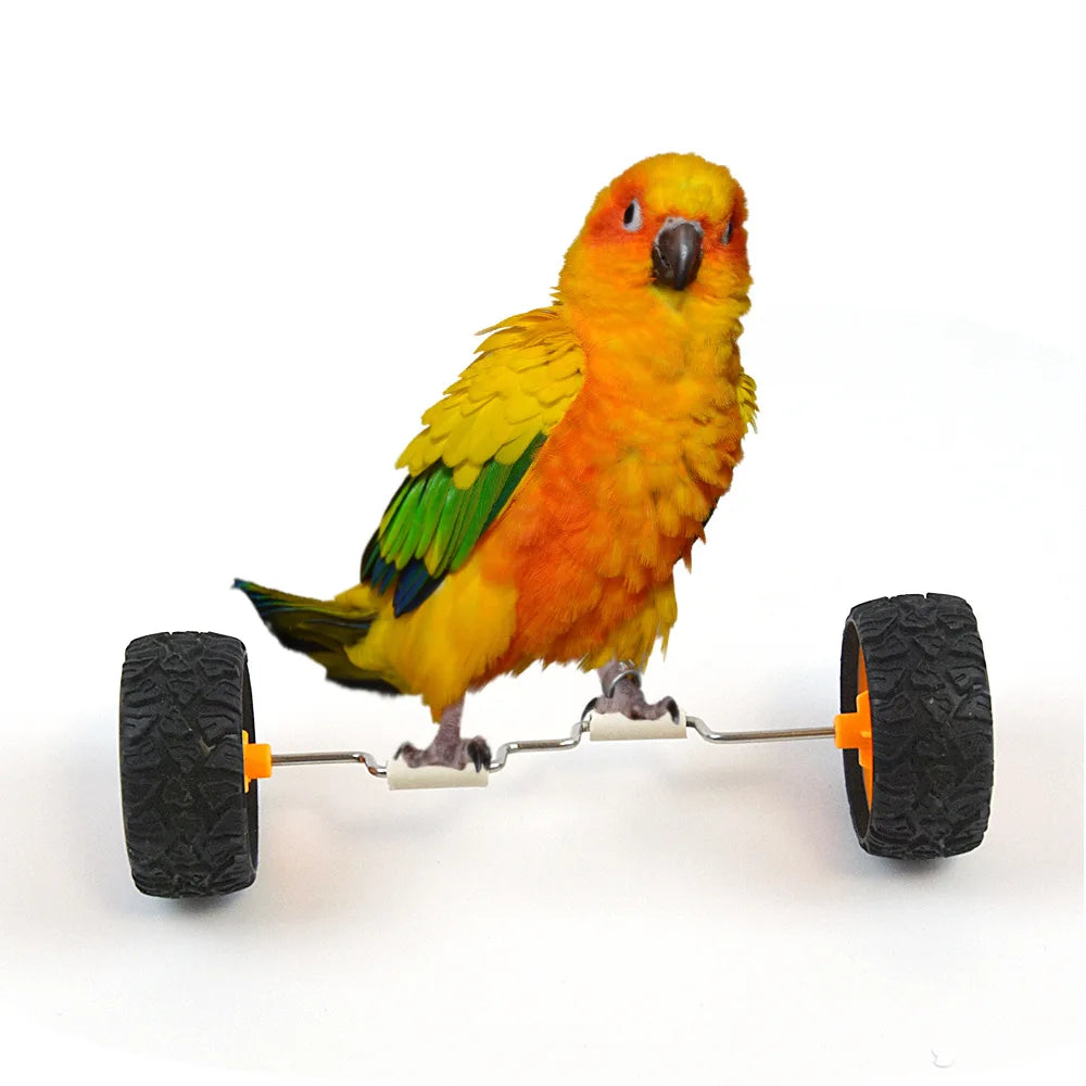 Parrot Training Balancing Bike Toy Interactive Row Roller Bird Cage Toy Cockatiels Training Birds Cage Sports Supplies