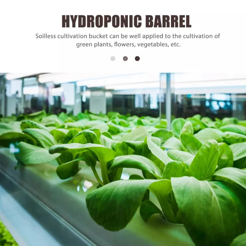 hydroponic seedling starter kit, indoor soilless vegetable and herb growing system, perfect for balcony gardening