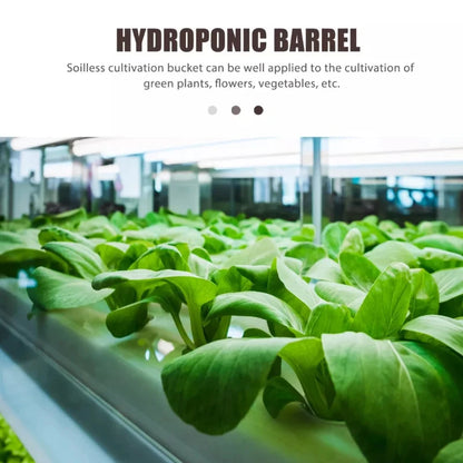 hydroponic seedling starter kit, indoor soilless vegetable and herb growing system, perfect for balcony gardening