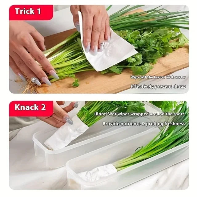 Refrigerator fresh-keeping storage box, fresh-keeping artifact,Small Food Preservation Boxes,Transparent Sealed Storage Box