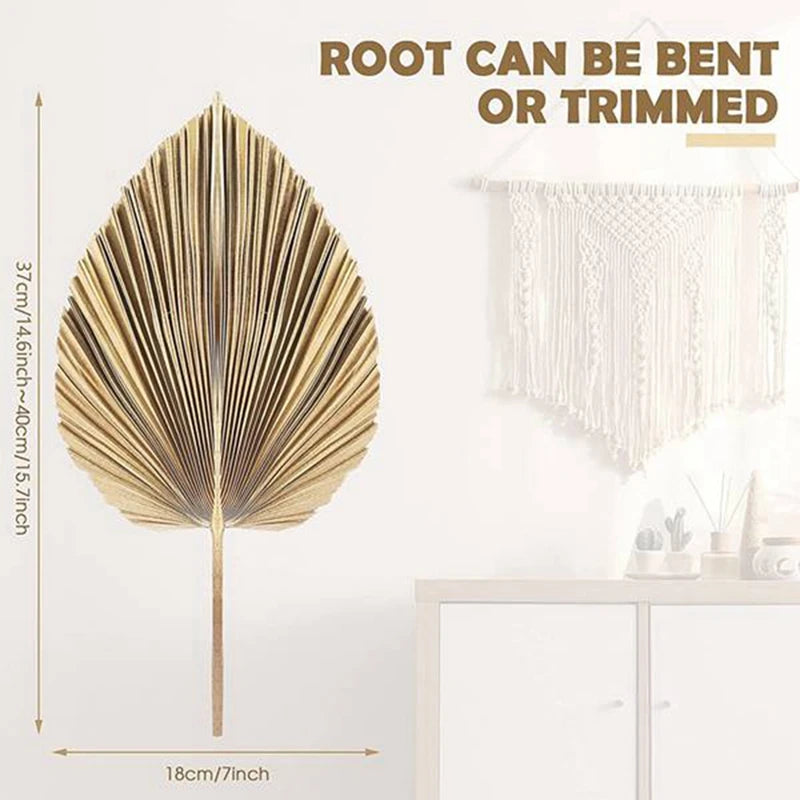 6PCS Dried Palm Leaves Natural Dried Palm Fans,Large Palm Spear For Boho Wedding Decor,Tropical Palm Leaves Decoration Durable S