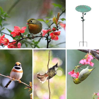 Garden Bird Bath Decorative Outdoors Garden Feeder Bowl Multi-Functional Rust-Proof Standing Bowl For Farm Pathway Patio Garden