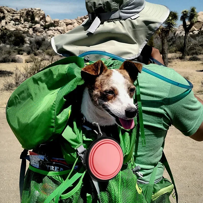 1PC Collapsible Portable Water Bowl for Dogs, 350ML/1000ML, Dish for Traveling Camping Walking