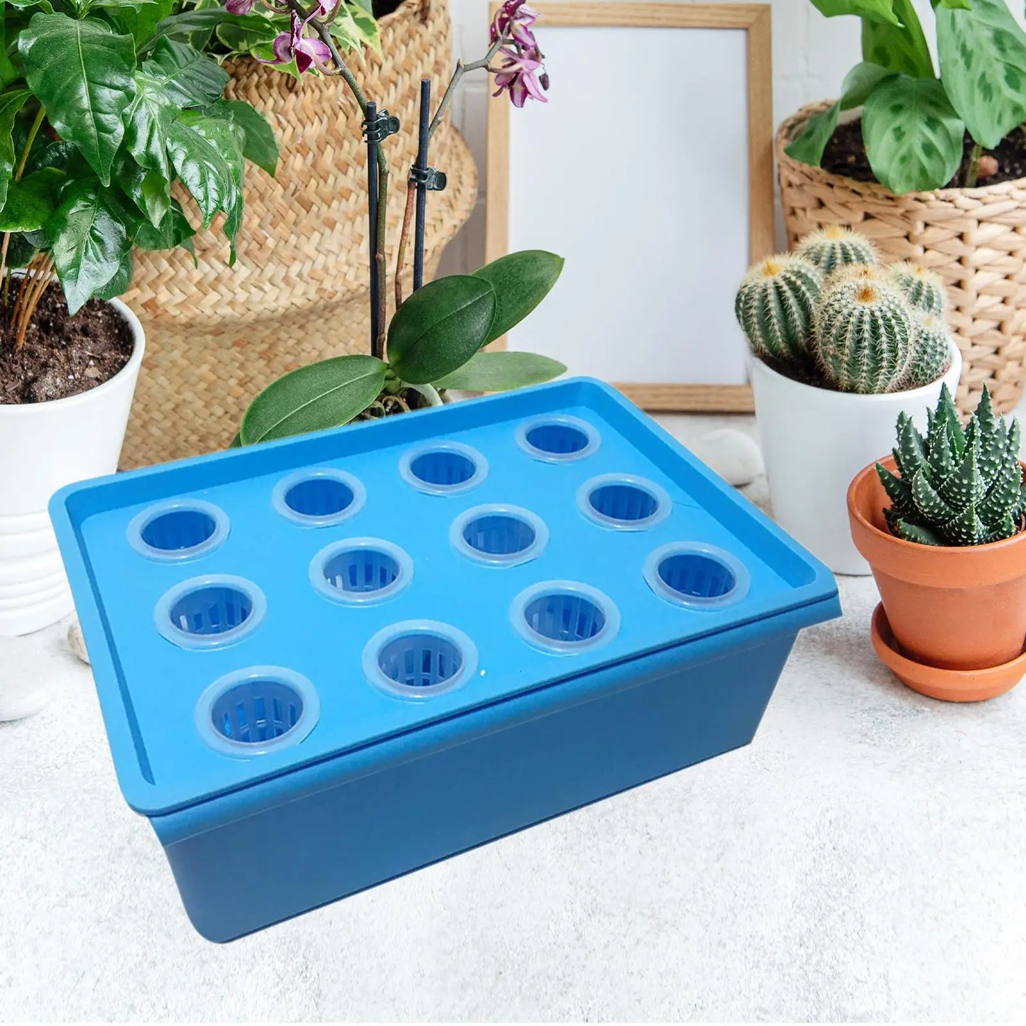 Hydroponics Grower Box 12 Holes Hydroponics Tools for Indoor Home Planting