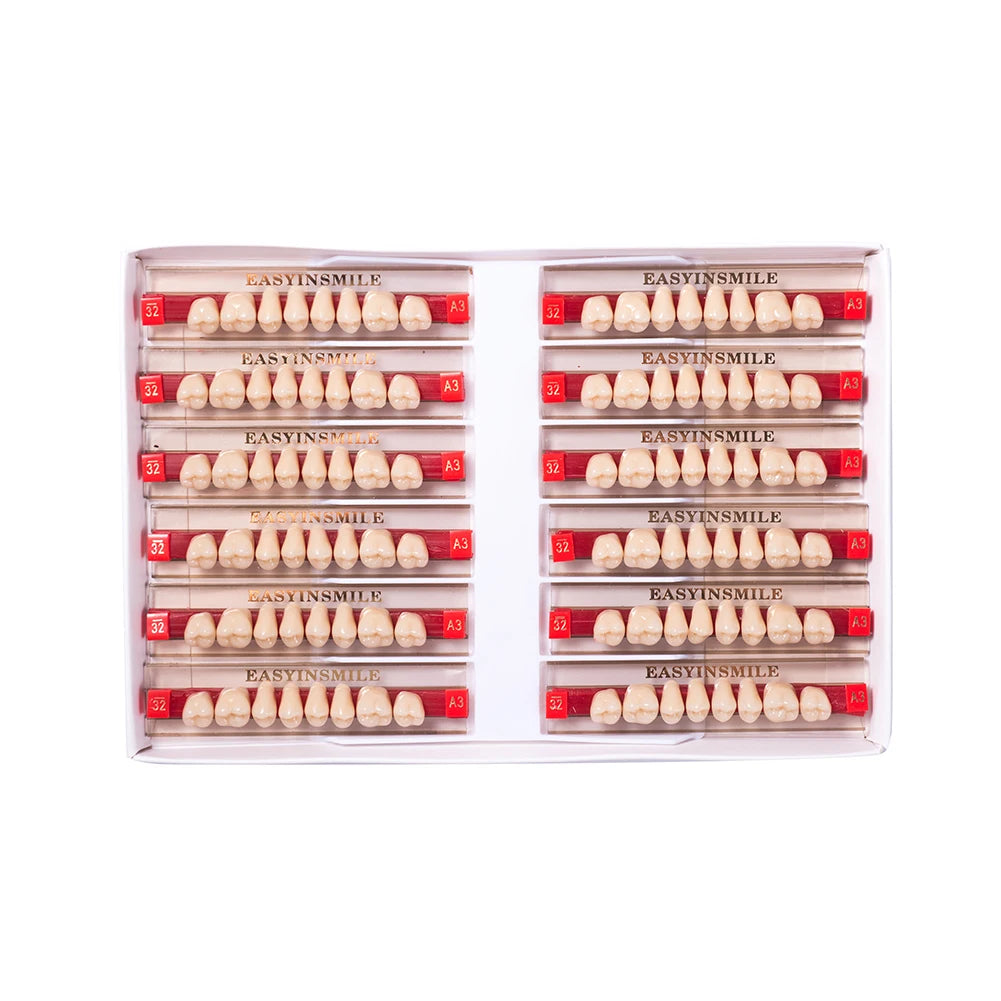 16/12 Sets/ Box Dental Teeth Anterior Posterior Polymer Denture acrylic Tooth A2 A3 2 Layers Dentistry Materials Education Model