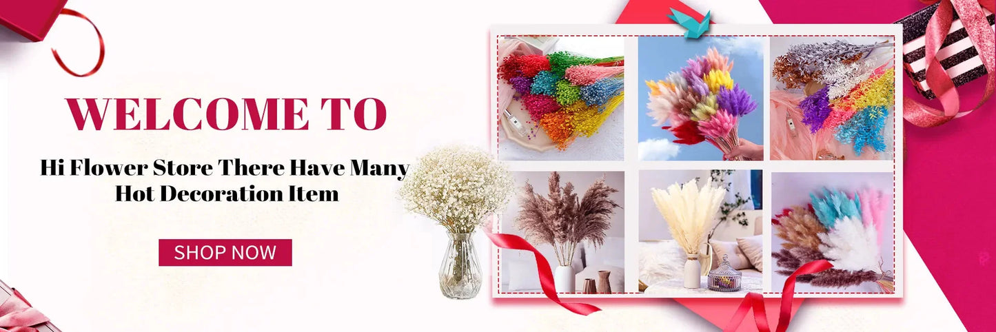 130g Natural Dried Preserved Flowers Babys Breath Home Decoration Natrual Gypsophila Wedding Decor Artificial Flower Photo Props