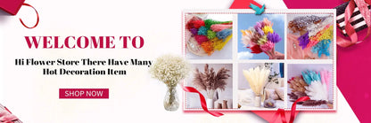 130g Natural Dried Preserved Flowers Babys Breath Home Decoration Natrual Gypsophila Wedding Decor Artificial Flower Photo Props