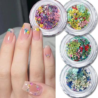 1 Box Nail Art Flower Decoration Delicate Dried Flower Nail Art Decorations Exquisite Nail Art Beauty For Charms Accessories