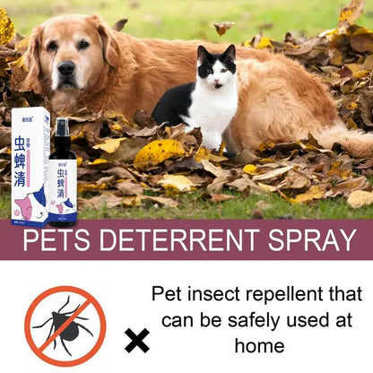 Pet Dog Cat Anti Flea Drops 100ml Insectcide Flea Lice Insect Remover Spray Flea And Tick Concentrate Formula Pet Flea Remover