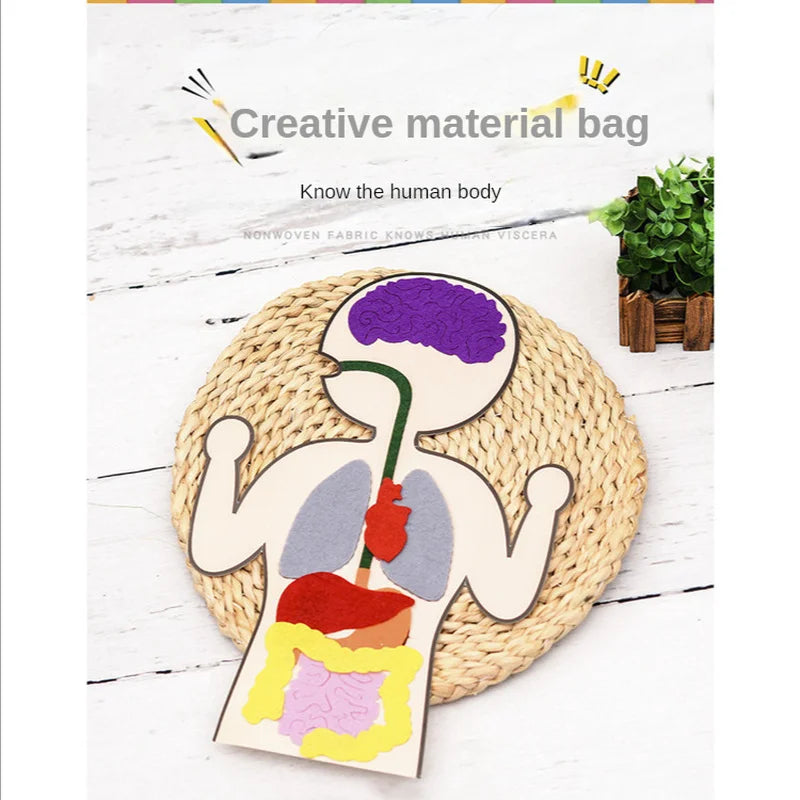 Biology teacher accessories DIY Organ Teaching Aids Scholar kit Home School Biological Science Educational Toys For Children  88