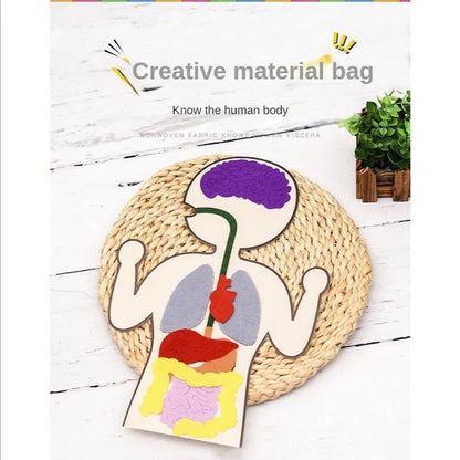 Biology teacher accessories DIY Organ Teaching Aids Scholar kit Home School Biological Science Educational Toys For Children  88